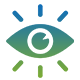Our Vision